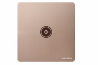 KG066单电视插座