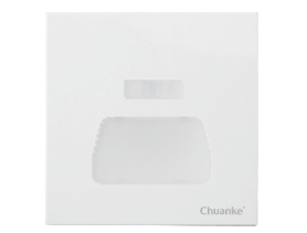 D009 LED人体感应地脚灯