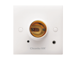 D074微波感应灯头