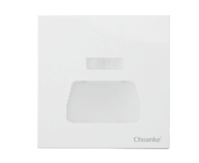 D009 LED人体感应地脚灯